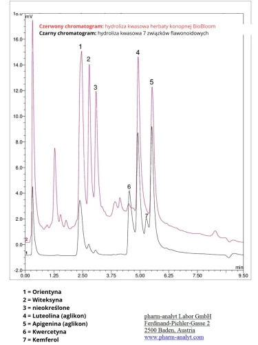 Chromatogram herbaty konopnej  – badania flawonoidów potwierdzające obecność naturalnych antyoksydantów.